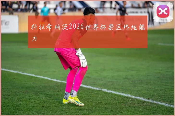 科拉希纳茨2026世界杯禁区终结能力