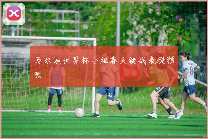 马尔迪世界杯小组赛关键战表现预测