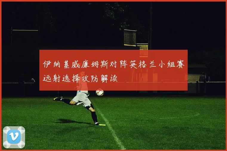 伊纳基威廉姆斯对阵英格兰小组赛远射选择攻防解读
