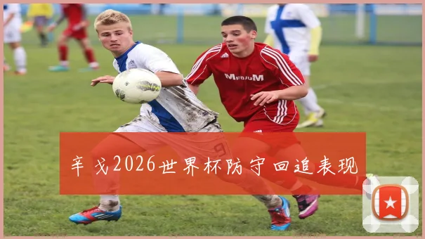 辛戈2026世界杯防守回追表现