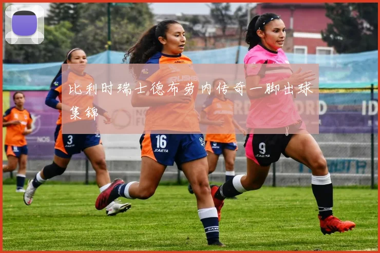 比利时瑞士德布劳内传奇一脚出球集锦