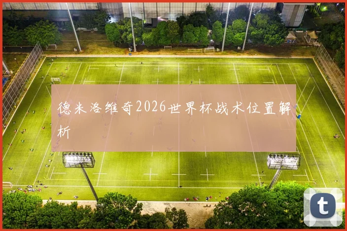 德米洛维奇2026世界杯战术位置解析